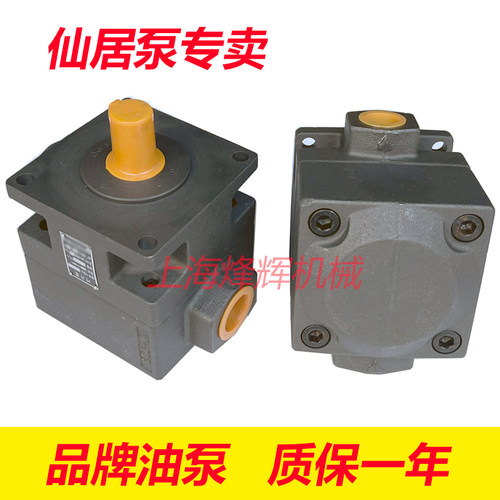 YB1-100叶片泵平面磨床油泵仙居泵压力泵仙居液压件公司 - 图2