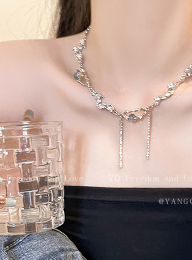 漂亮绝美高级感晚礼服项链女款小众轻奢choker锁骨链2026新款配饰