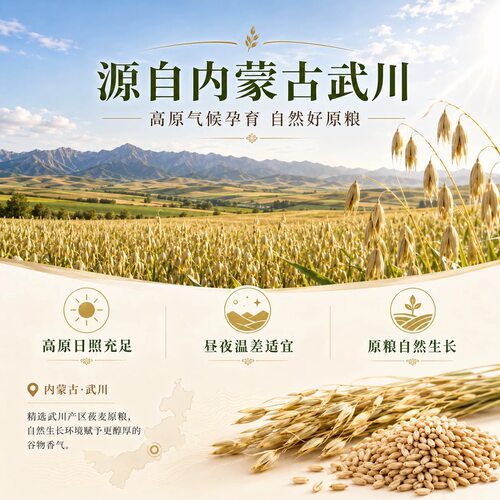 内蒙武川莜麦粉纯莜面 农家莜面粉莜麦面攸面燕麦面莜面面粉2.5kg - 图1