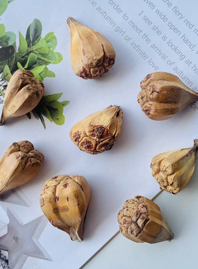 天然千丝果缅甸茄菩提子挂件diy