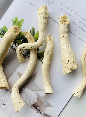 【漂流木】白色木棍树枝造景diy制作材料幼儿环创天然植物干树枝