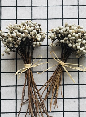 天然薏米乌桕ins家居花材小白果