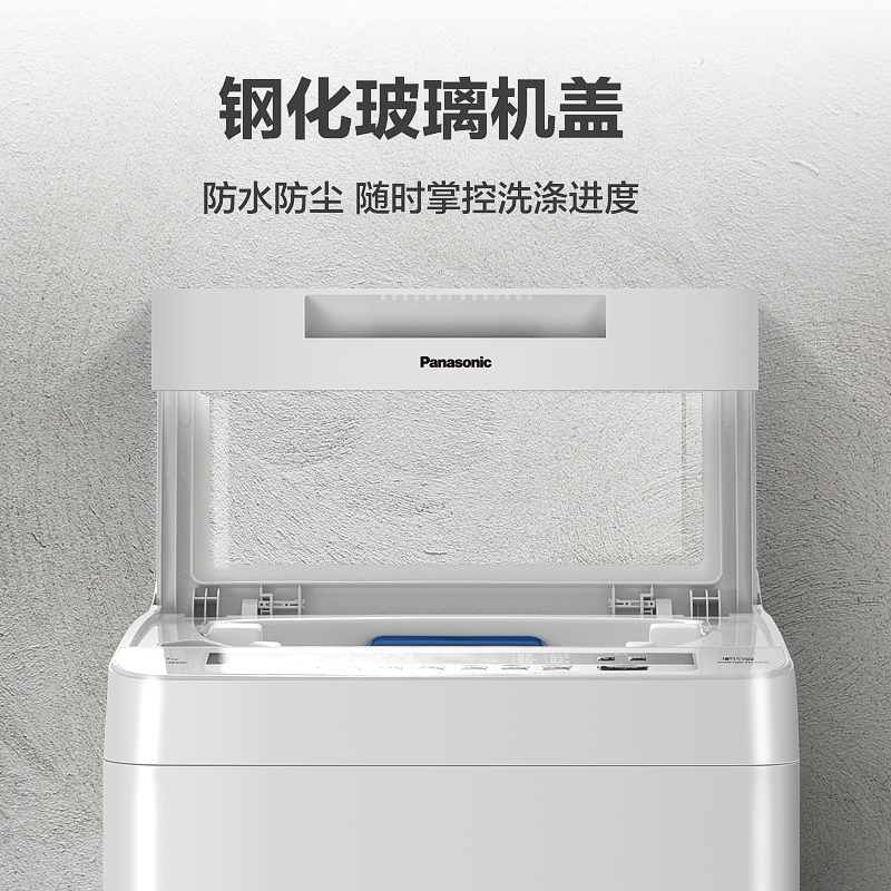 Panasonic/松下10公斤大容量全自动家用洗脱一体波轮洗衣机 H163W