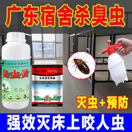 臭虫药杀虫剂灭防除宿舍吸血虫床上专用家用非无毒特床虱药喷雾效 - 图1