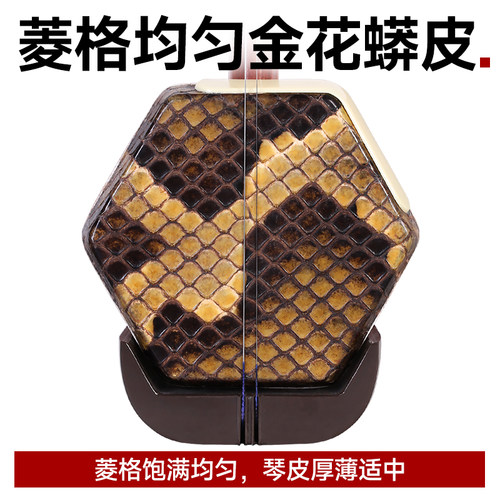 敦煌二胡红檀木二胡04A木轴04A木轸初学入门学生成人二胡民乐器 - 图1