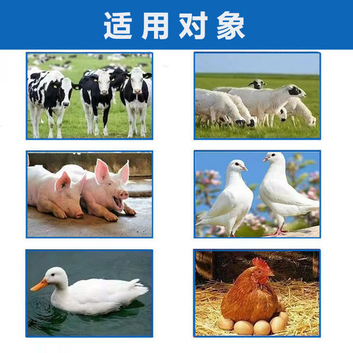整箱兽用超浓缩鱼肝油粉500g多维生素AD3E粉猪牛羊鸡用补钙 - 图1