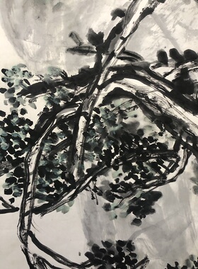 吴昌硕画集国画写意花鸟名家作品临摹范本柯如青铜根如石图