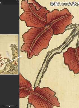 艾启蒙画白鹰轴清朝郎世宁工笔老鹰绘画装饰挂轴装裱微喷复制画稿