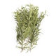Vegetation reeds flowers sand table material model diy scene simulation production waterscape bamboo small trees shrubs