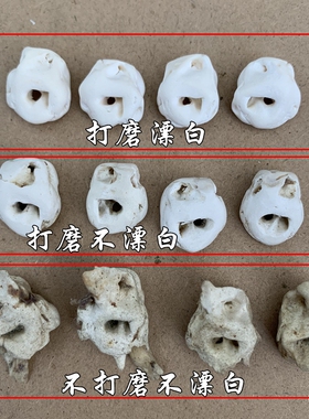 天然猪惊骨猪精打磨未漂白原色