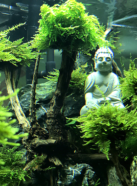 大日如来佛祖释迦摩尼雨林小摆件