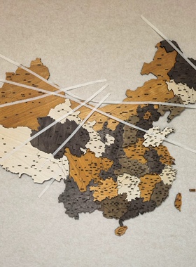 木质玄关中国装饰地图墙面装饰3D公司客厅装饰画沙发背景照片墙壁
