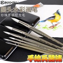 Spanish pen Real ESCODA PERLA pearl white Dongli Nylon Fur Round Head Watercolor Painting Pen Short Pole 1430