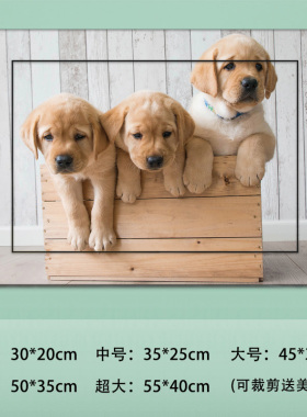 新品电表箱贴纸装饰画电箱遮挡配电箱多媒体遮丑免打孔贴画膜a391