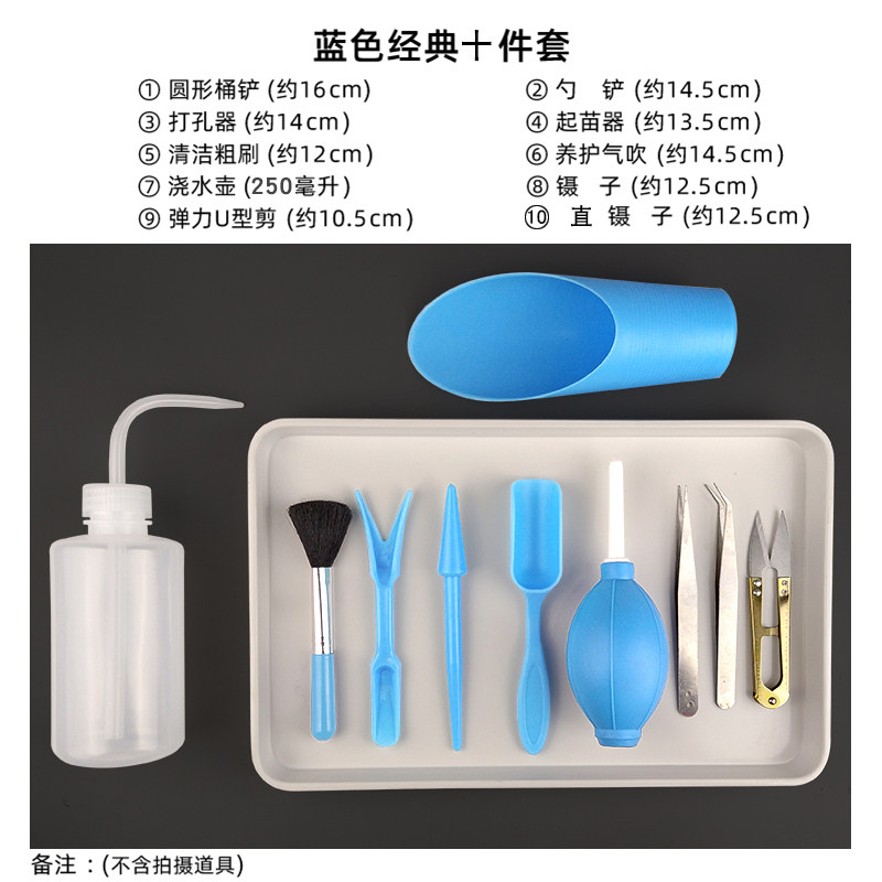 多肉工具套装组合家用园艺植物养多肉种植铲子新手种多肉专业工具,淘宝优惠券,粉丝福利购,淘宝优惠卷