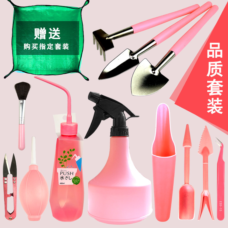 多肉工具套装组合家用园艺植物养多肉种植铲子新手种多肉专业工具,淘宝优惠券,粉丝福利购,淘宝优惠卷