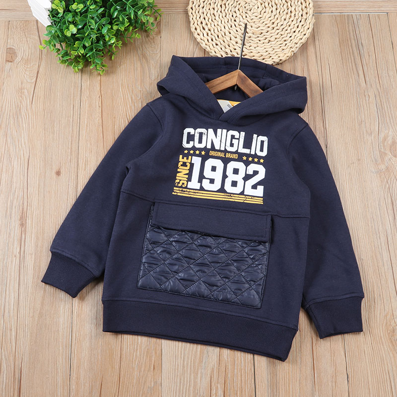 工厂尾货外贸中小童装加绒卫衣2-12岁男童连帽外套春秋款上衣印花 - 图0