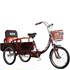 Ruifukang elderly tricycle elderly pedal small bicycle adult bicycle foldable human scooter