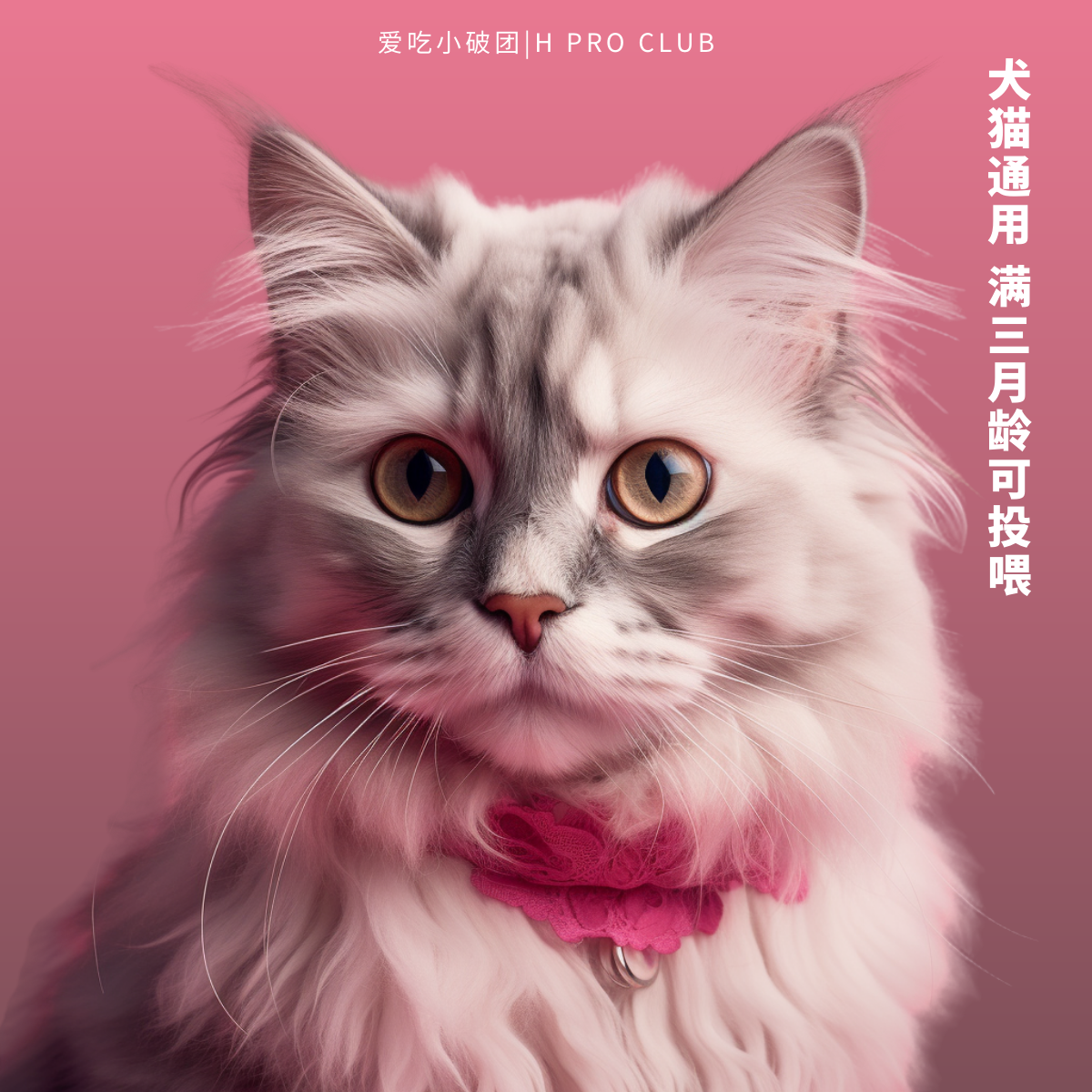 小破团|甜甜圈鸡肉三文鱼鳕鱼宠物冻干零食鱼油益生菌高蛋白,淘宝优惠券,粉丝福利购,淘宝优惠卷