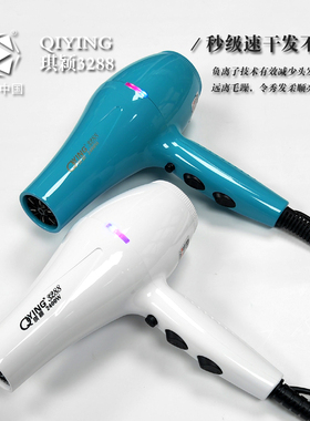 琪颖吹风机家用大功率速干不伤发