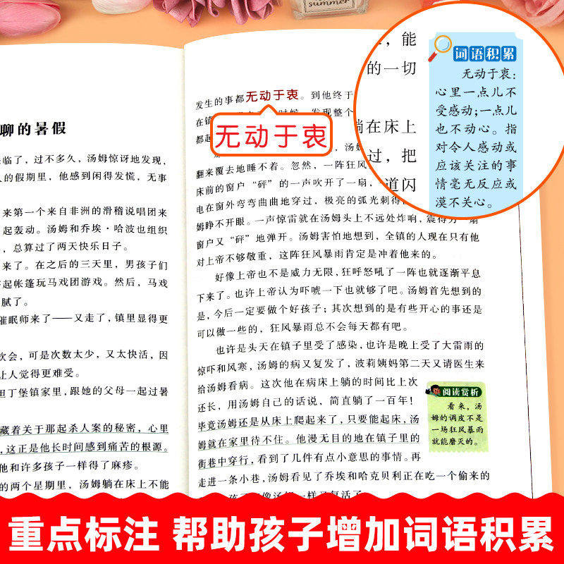 全套4册 快乐读书吧六年级下册 鲁滨逊漂流记汤姆索亚历险记尼尔斯骑鹅旅行记爱丽丝漫游奇境记6下必读的课外书小学生语文推荐阅读
