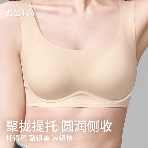 内衣女小胸聚拢2026新款爆款舒适无痕无钢圈美背女士胸罩抬收副乳 - 图0