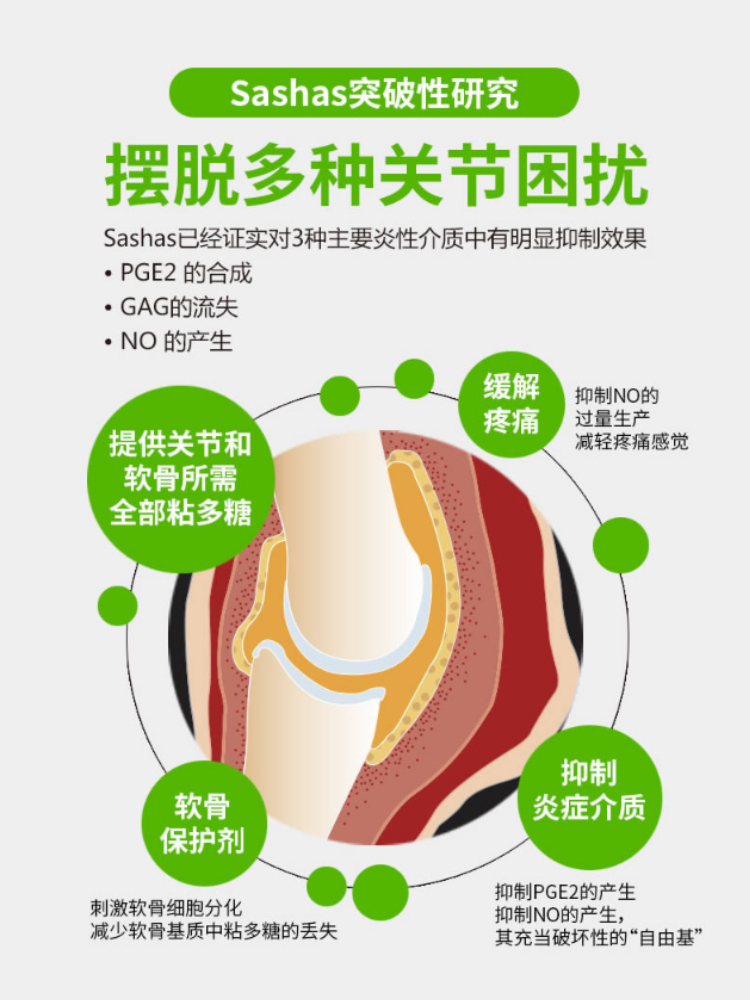 sashas萨沙软骨素猫咪专用关节灵胶囊折耳猫软骨病修复保健品 - 图1