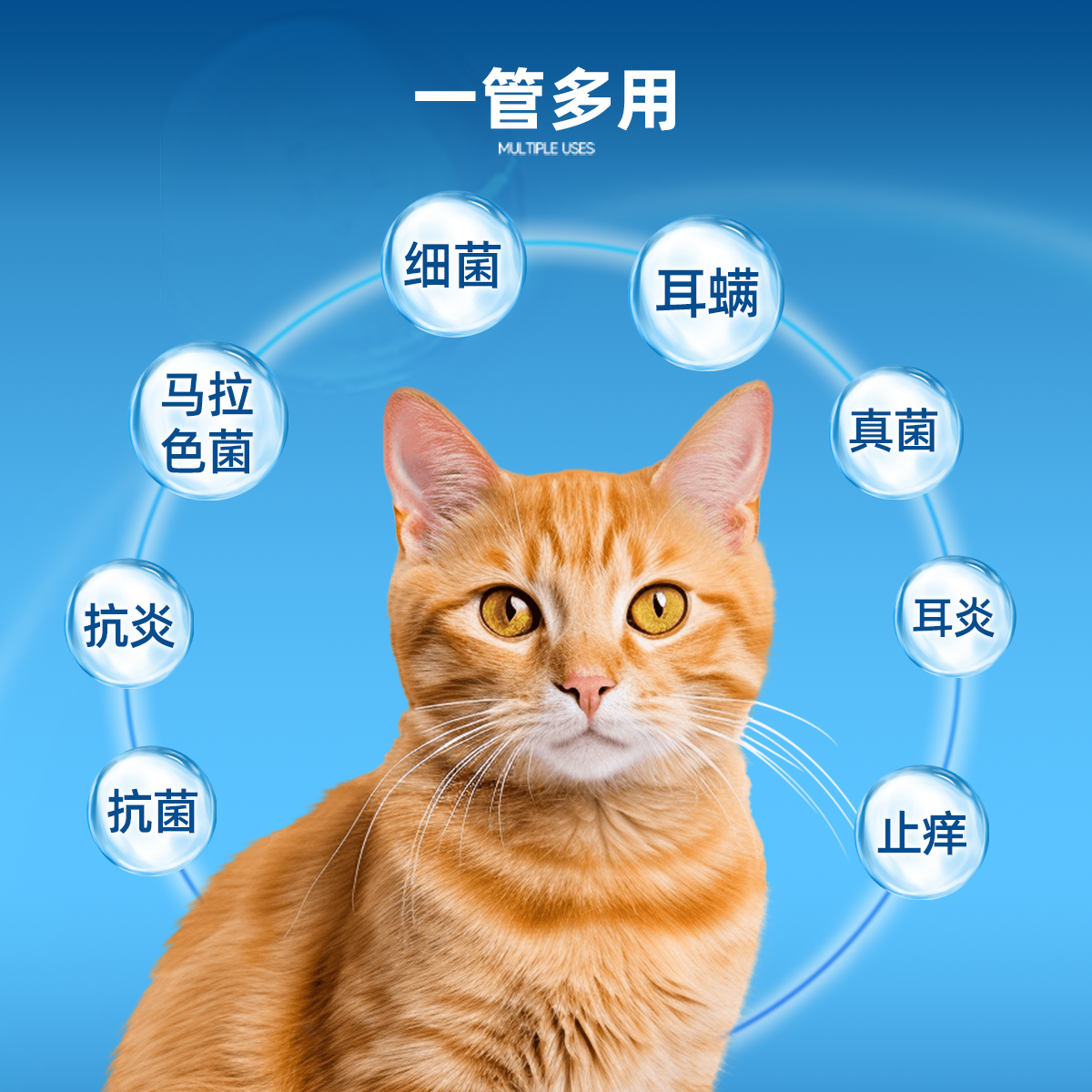 雷米高澳龙益尔净复方制霉菌素软膏耳螨猫狗用专用药马拉色菌耳药,淘宝优惠券,粉丝福利购,淘宝优惠卷