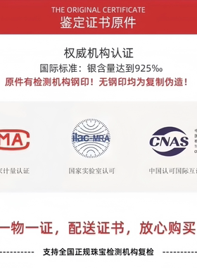 纯银S925小裙子项链轻奢高防过敏