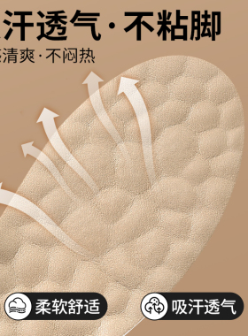 增高鞋垫吸汗防臭帆布鞋