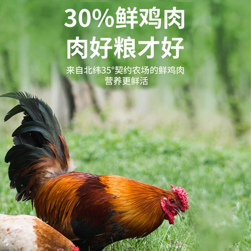 商品缩略图 1