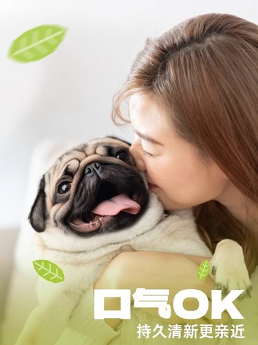 齿能OK结骨狗狗零食磨牙棒咬胶宠物零食幼犬小型犬泰迪比熊洁齿骨 - 图1