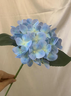 过胶餐桌绣球单支白色