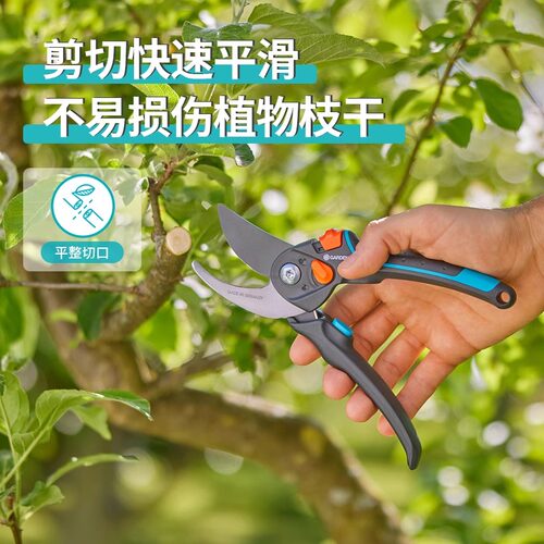 德国进口嘉丁拿修枝剪园艺专用剪刀果树修剪树枝剪刀园林枝剪花剪 - 图1