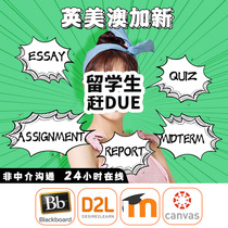 International students essay financial accounting writing business homework quiz computer report course polishing guidance