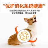 [Pre -Sale] Хороший владелец собачья корм универсальный плюшевый VIP Golden Retriever щенки 10 маленьких собак 32 кот