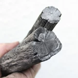 3 косания почтового заповедника Длинный уголь древесный уголь белый уголь уголь уголь угля на гриле на гриле на гриле горячий горшок горячий горшок чайный уголь.