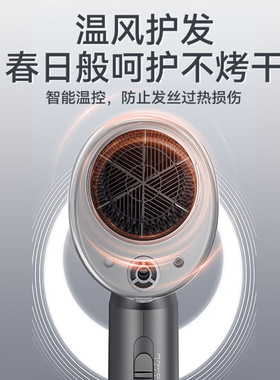 松下家用水负离子大风力恒温护发