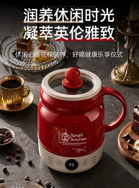 Wifer好夫人多功能小型电炖杯陶瓷养生壶保温炖煮一体电热杯