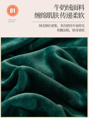 冬季加厚牛奶绒珊瑚绒四件套双面加绒被套床裙法莱法兰绒床上用品 - 图0