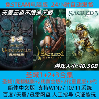 Sanctuary/sacred chronicle 1+2+3 full dlc simplified chinese version pc stand-alone arpg dark game