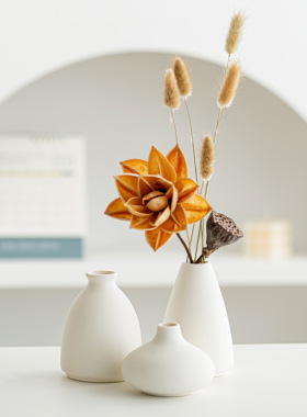 简约白色陶瓷花瓶幼儿DIY彩绘涂鸦干花花器书柜装饰摆件 家居手工