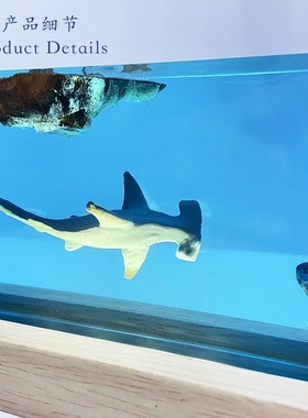 海底世界溶洞大白锤头鲨鱼水母海洋小夜灯床头灯氛围灯礼物摆件