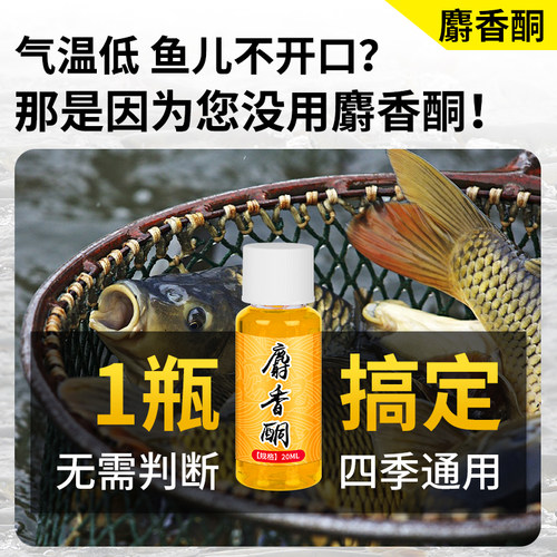 高浓度麝香酮原液德国人工小药冬季钓鱼鲫鱼鲤鱼野钓开口剂诱鱼剂 - 图0