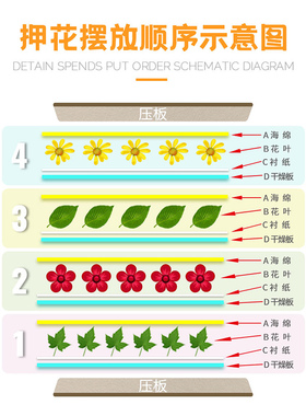 压花板环潮威植物标本压花器