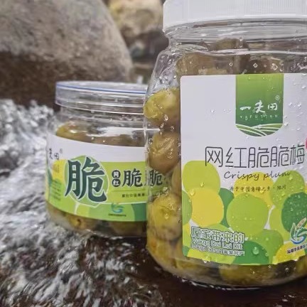 陆河一夫田脆脆梅网红脆脆梅休闲小零食400g/500g*2瓶装 - 图0