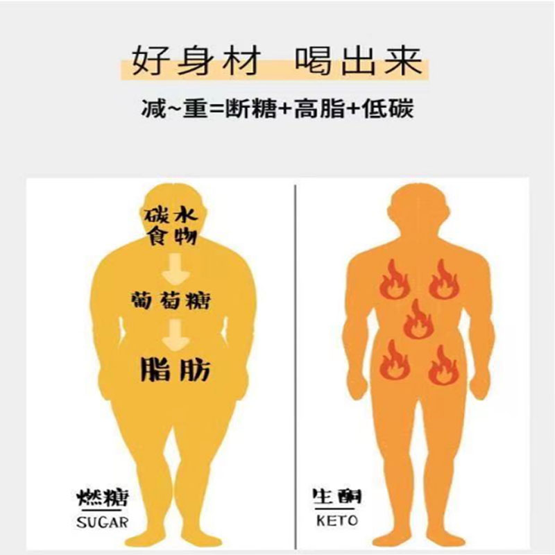 中链甘油三酯 粉MCT微囊粉70% 饱腹代餐生酮去脂固体饮料500g包邮 - 图0