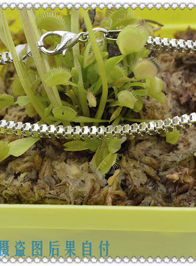 男士情侣时尚风钛钢首饰品盒子链