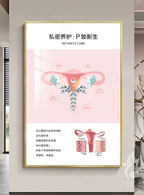 现代私密艺术生殖解剖挂画产后修复宣传挂画美容院医院墙壁装饰画