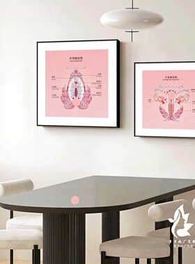 美容院粉色氛围布置挂画背景墙装饰画女性私密外阴生殖艺术解剖图